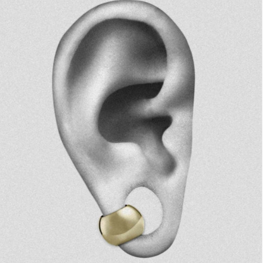 Vankula 2 STUKS 316 Rvs Klassi - Body Jewelry Hangers recensie en prijs