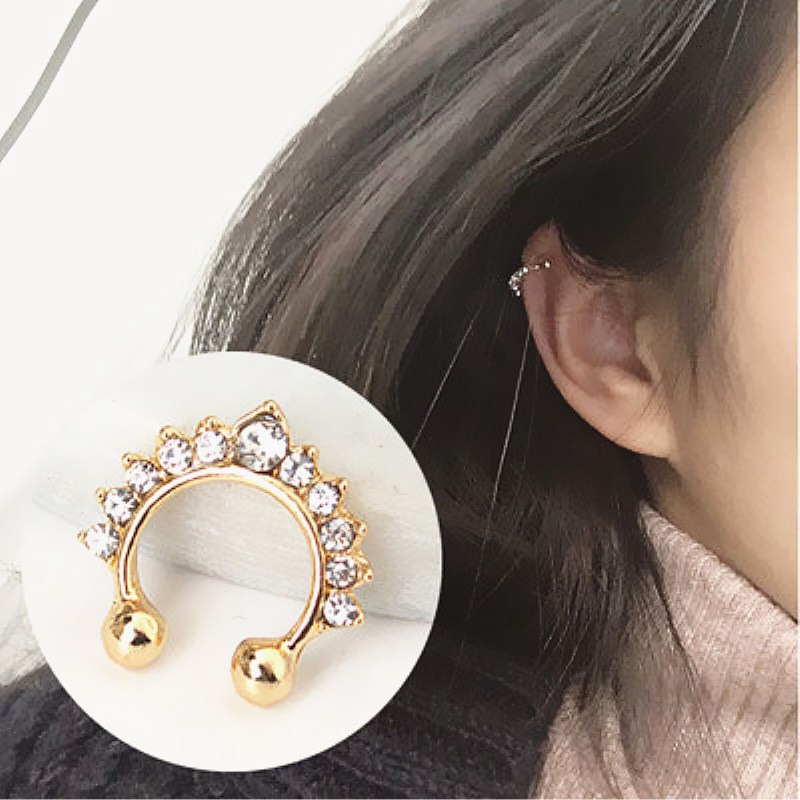 1Pc U-Vorm Neusklem Neusringen - Body Jewelry Ear Piercing recensie en prijs