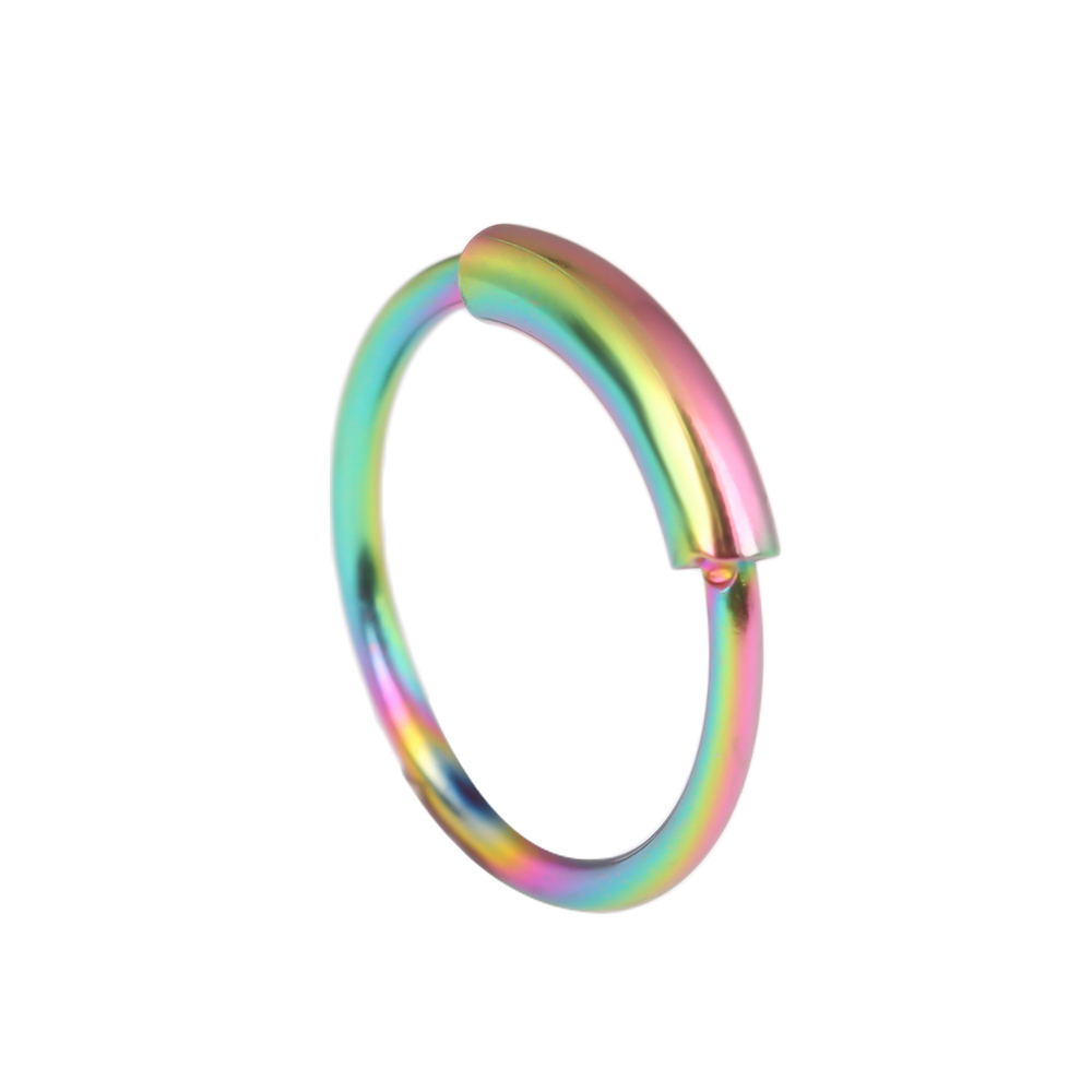 Chirurgische oorring van roest - Body Jewelry Ear Piercing recensie en prijs