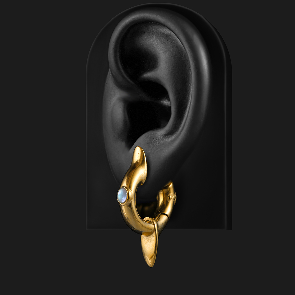Earblity 2PCS Oor Gewichten 31 - Body Jewelry Hangers recensie en prijs
